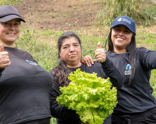 En Antioquia, productoras rurales fortalecen sus unidades de negocio gracias al apoyo de Transmetano y su Fundación Promigas.